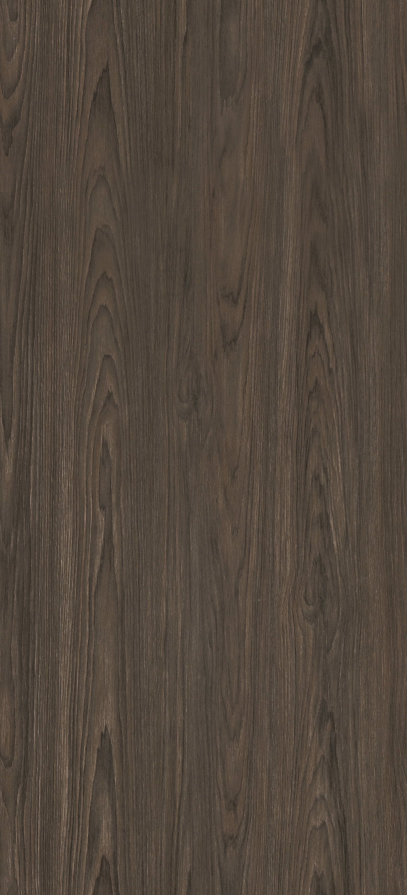 Dąb Windmill Dark PD3095