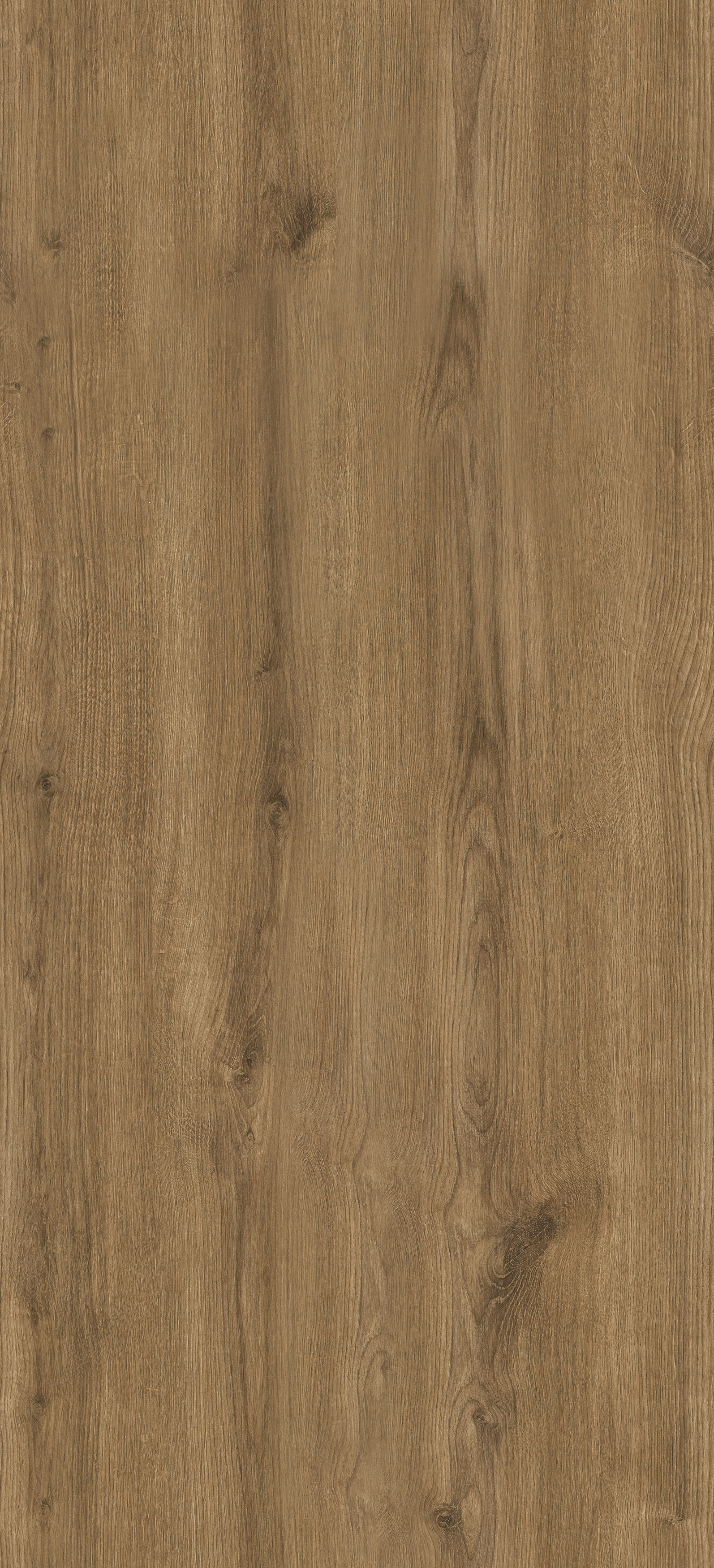 Dąb Carpenter Whisky PD3101