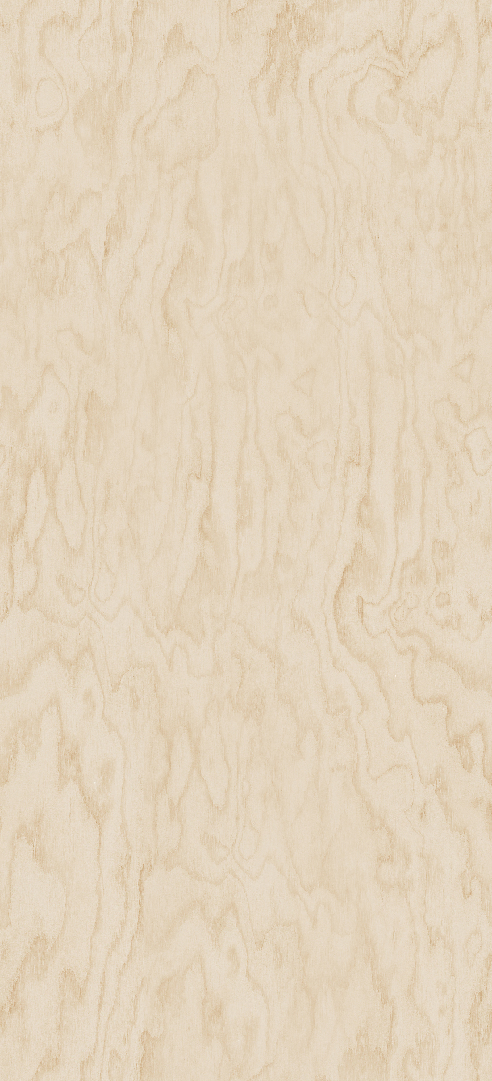 Sklejka Brzozowa PD7090