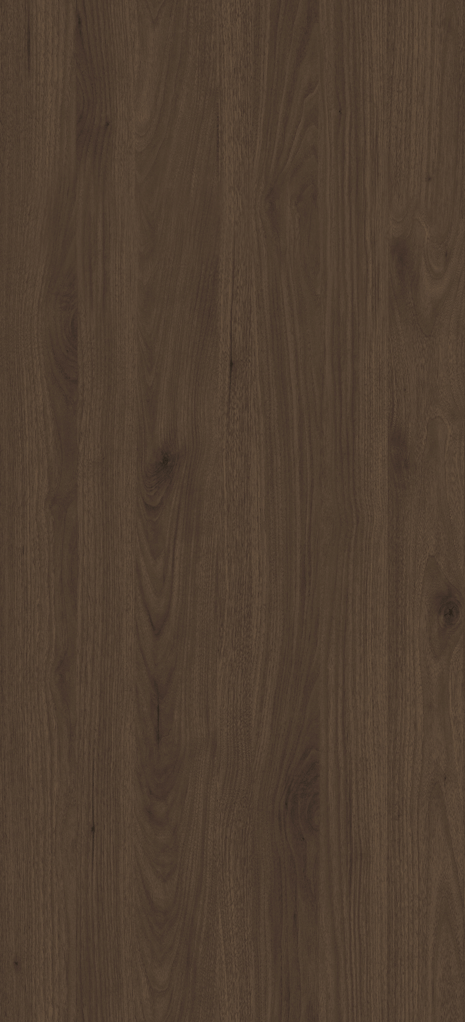 Orzech Elegant PD5008