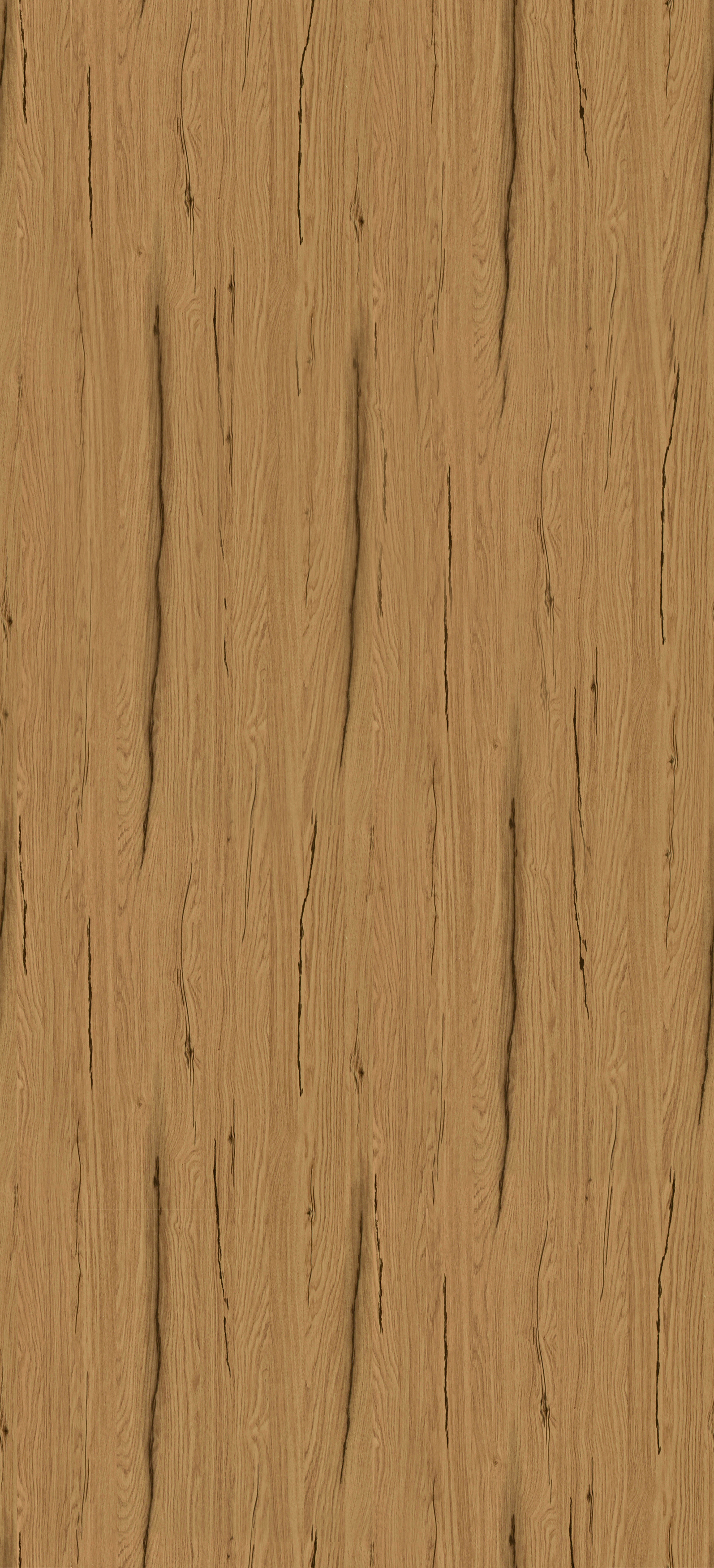 Dąb Wotan II HD3033