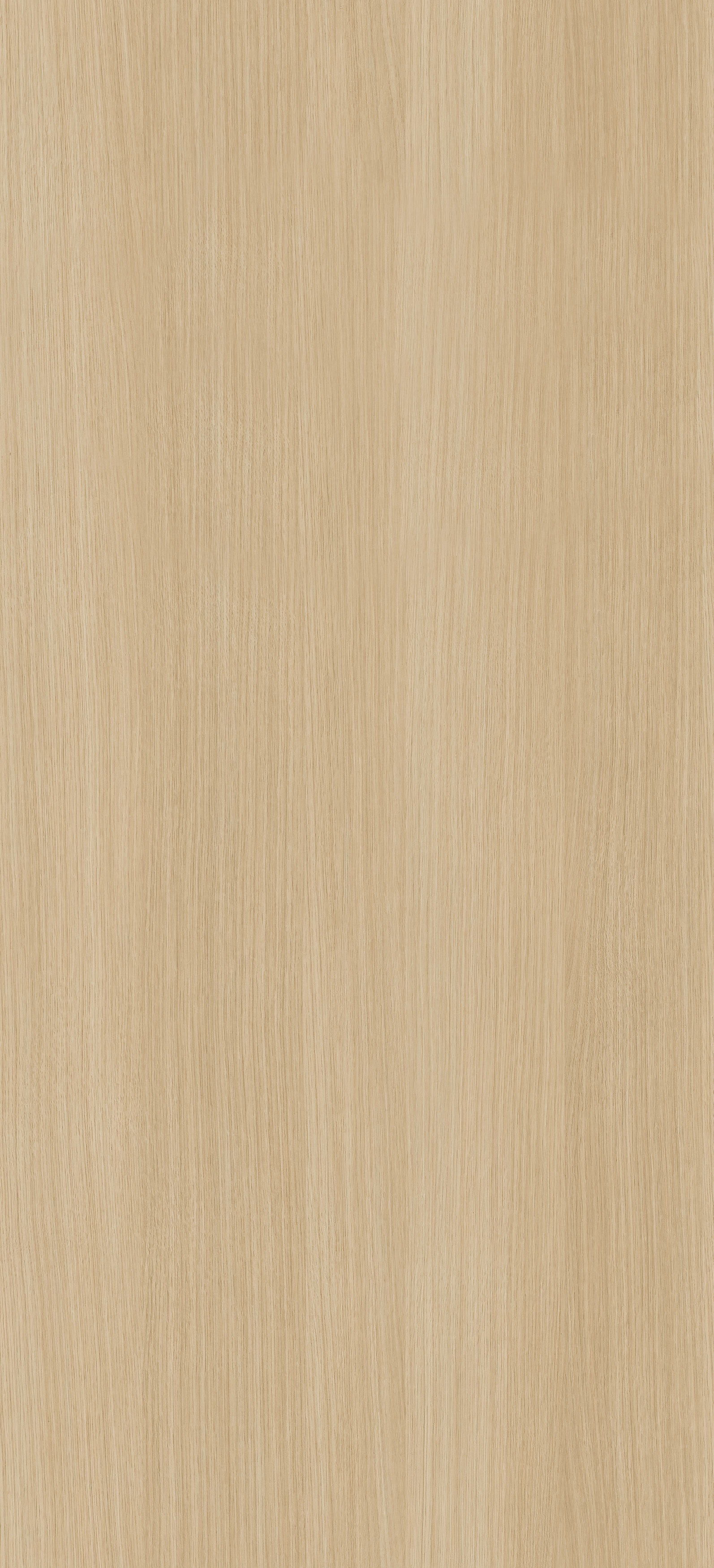 Dąb Kopenhaga PD3128