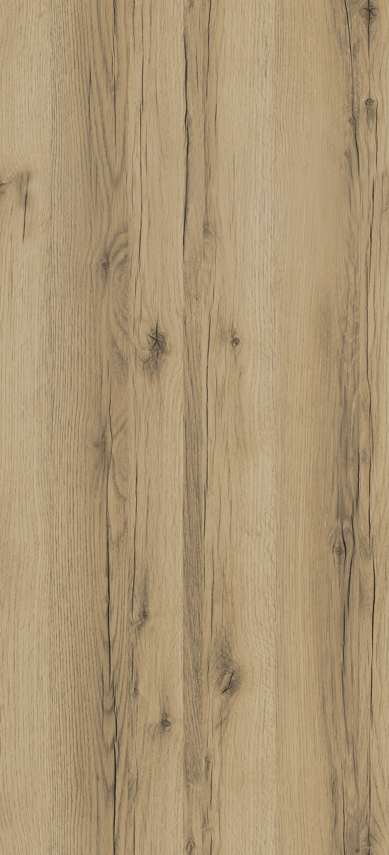 Dąb Grand Naturalny PD3051