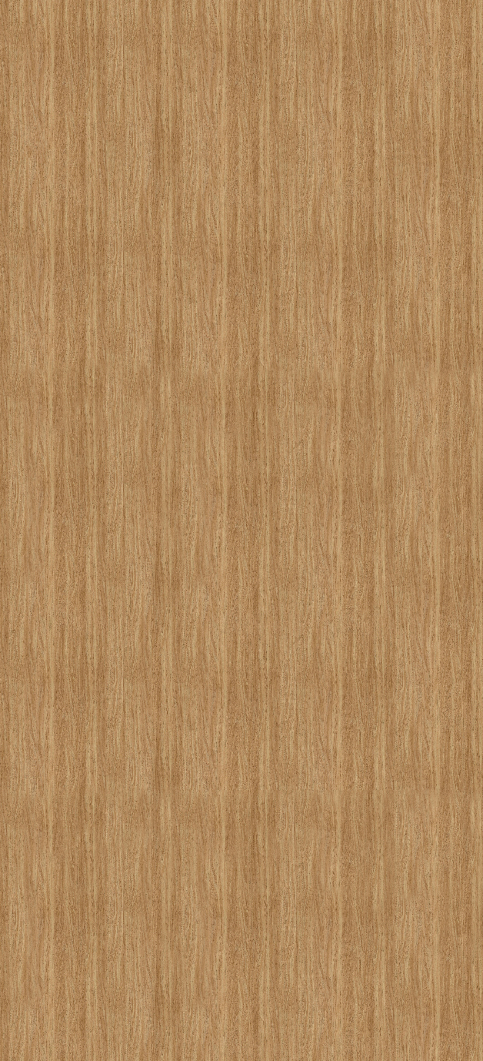 Dąb Lancelot HD3023