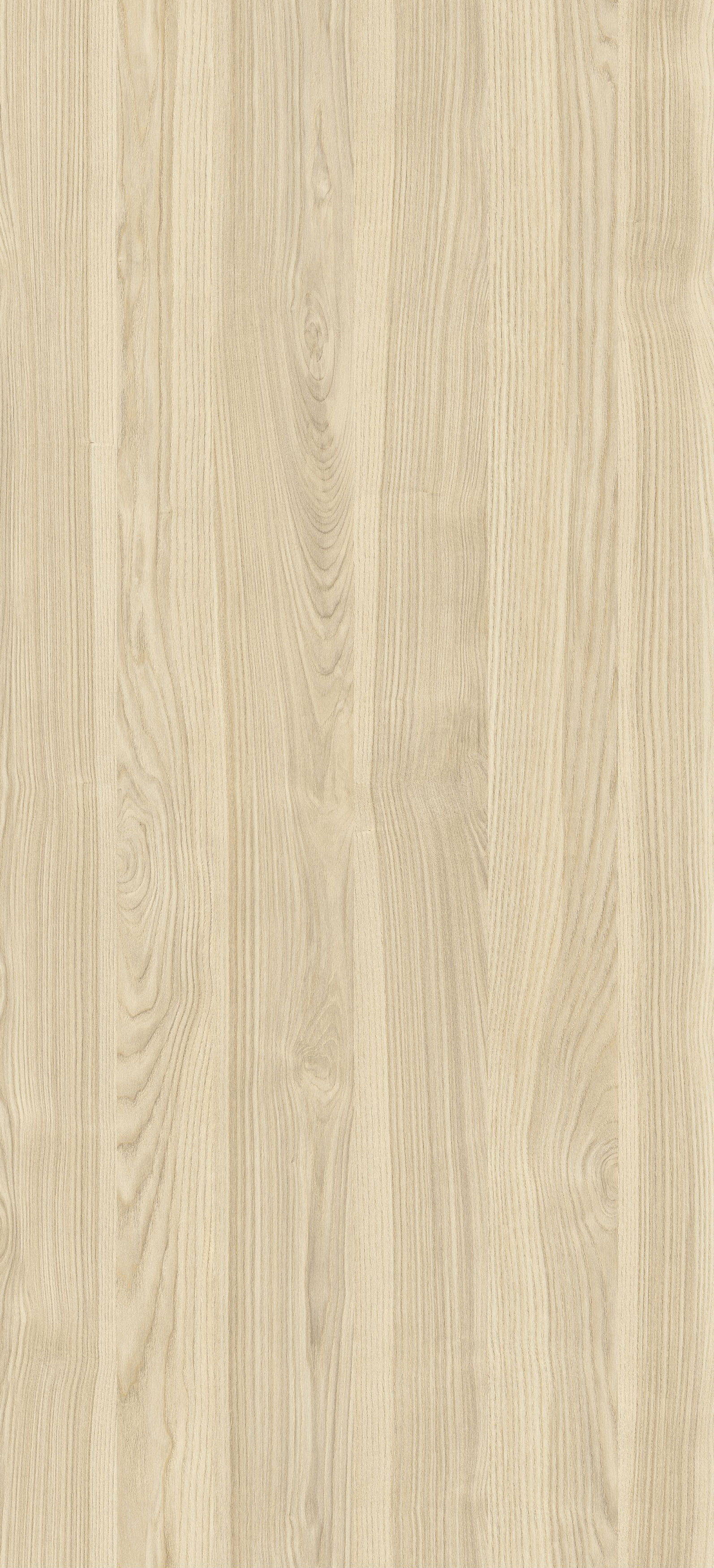 Jesion Prestige Jasny PD6003