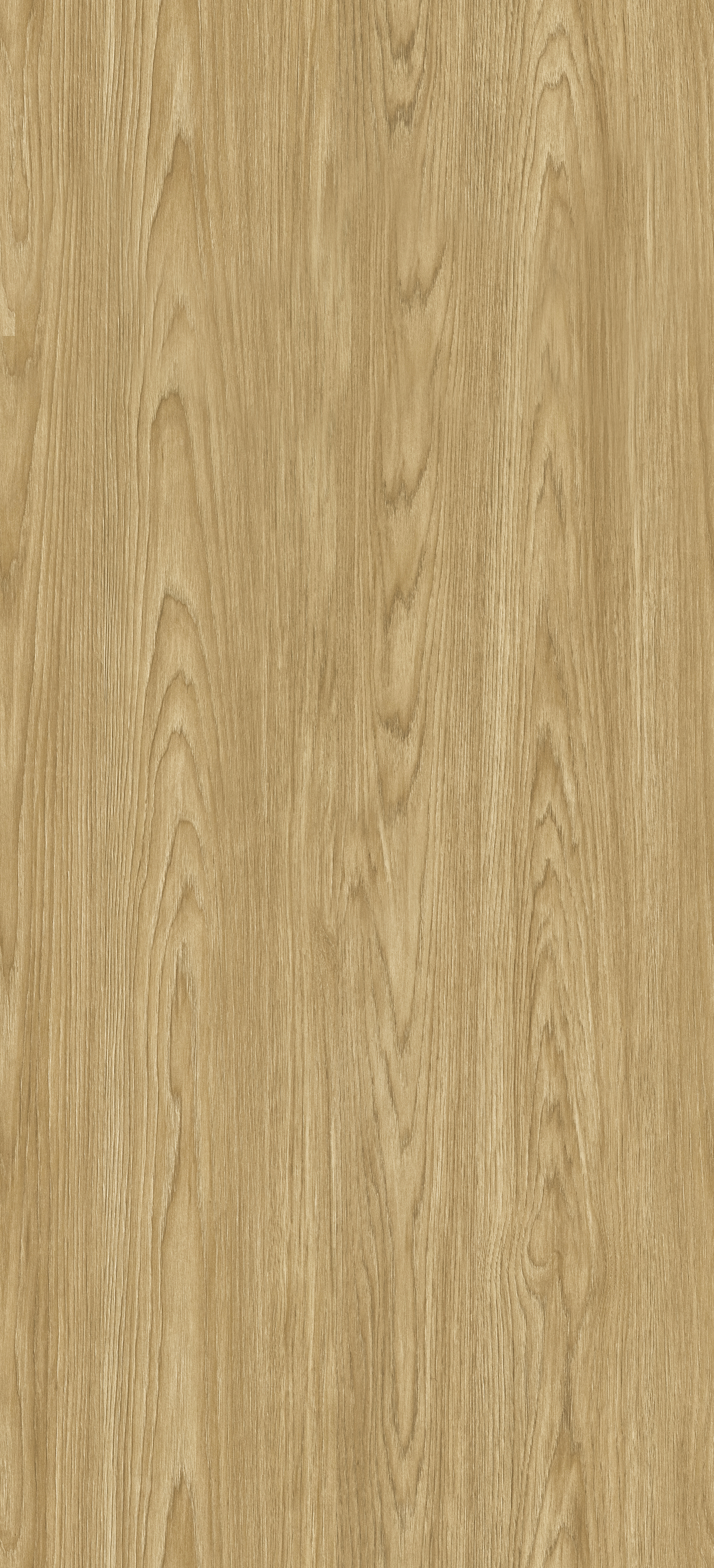 Dąb Windmill Gold PD3094