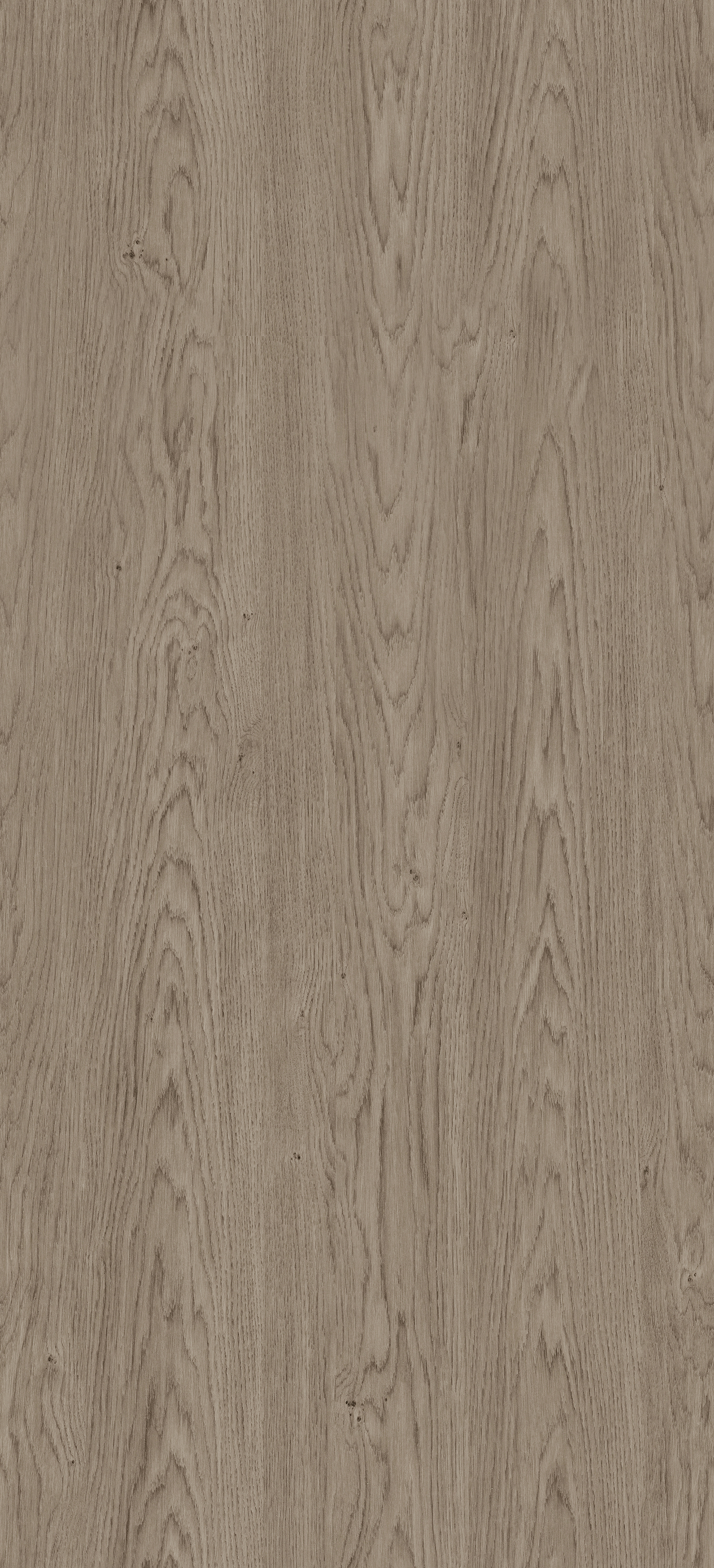 Dąb Baltic Szary PD3119