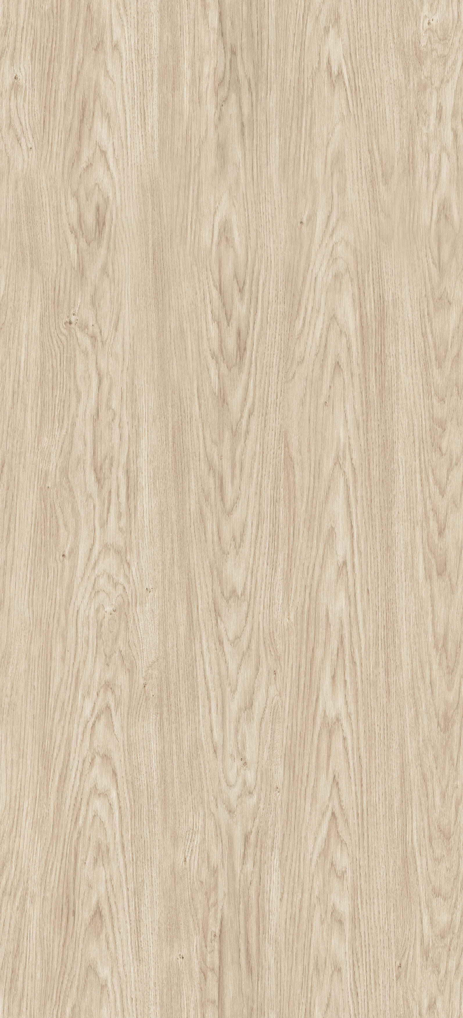 Dąb Baltic Ice PD3103