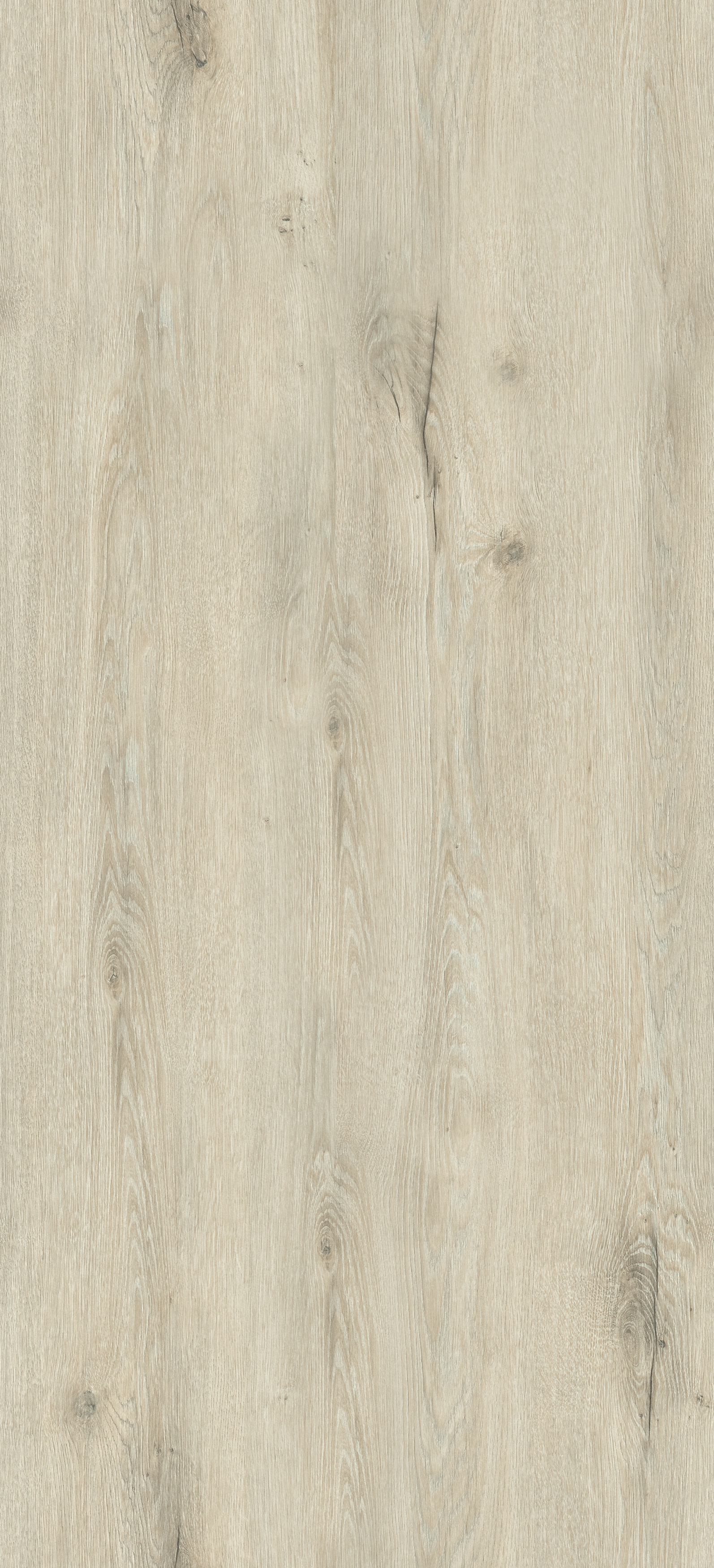 Dąb Lumberjack Frost PD3099