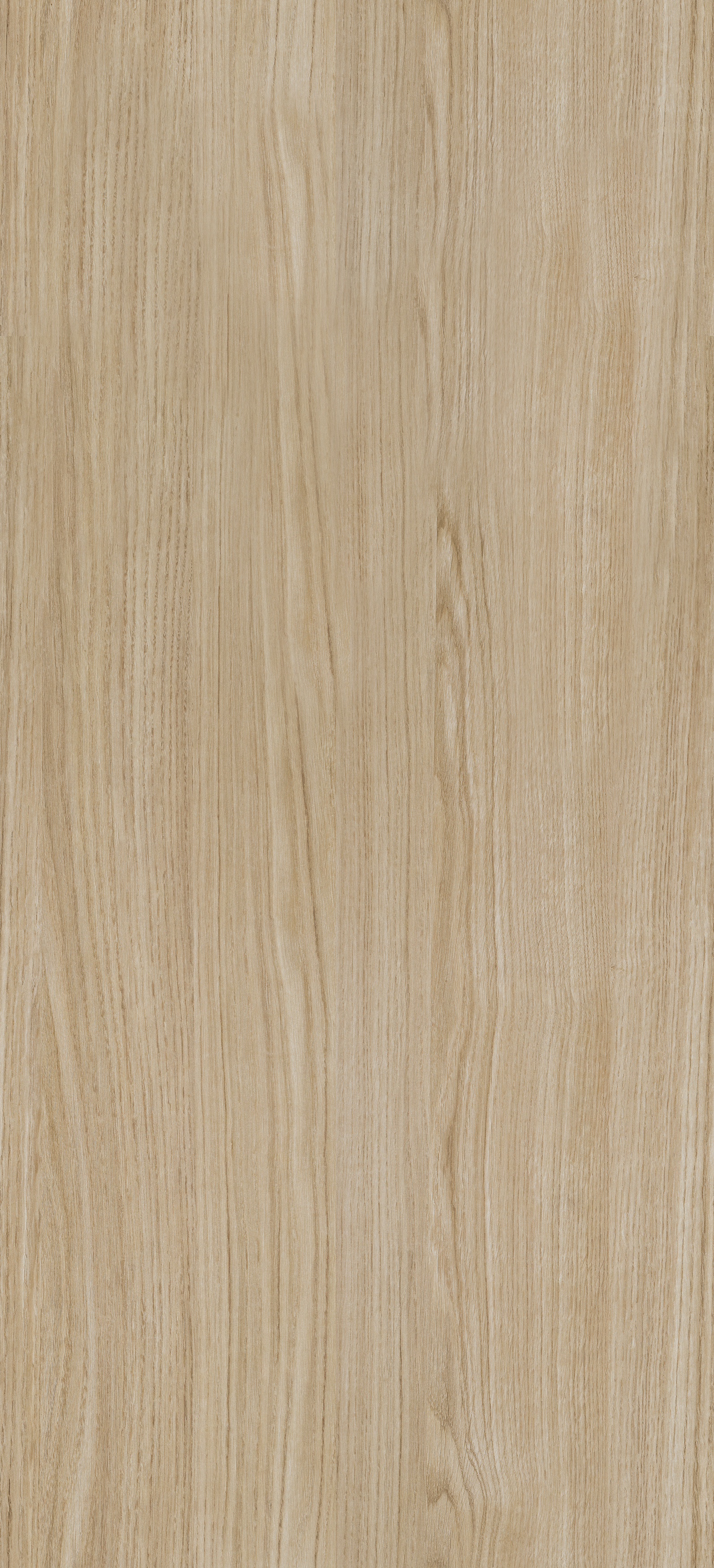 Dąb Scandi PD3077 WP